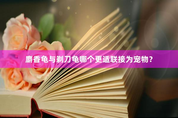 麝香龟与剃刀龟哪个更适联接为宠物？
