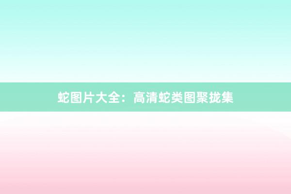 蛇图片大全：高清蛇类图聚拢集