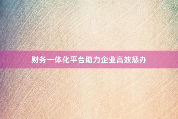 财务一体化平台助力企业高效惩办